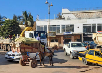 Straßenszene in Senegals Hauptstadt Dakar (c) Thomas Schiller